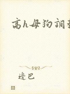 高h母狗调教文