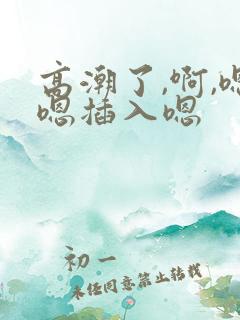 高潮了,啊,嗯嗯插入嗯