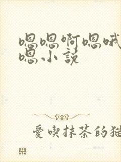 嗯嗯啊嗯哦啊嗯嗯小说