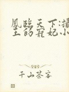 凤临天下:摄政王的宠妃小说