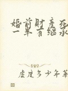 婚前财产死后另一半有继承比例