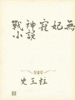 战神宠妃无下限小说