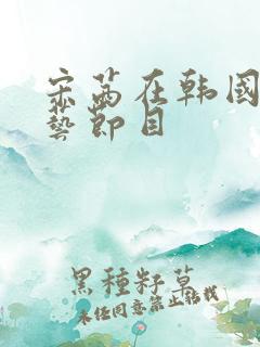 宋茜在韩国的综艺节目