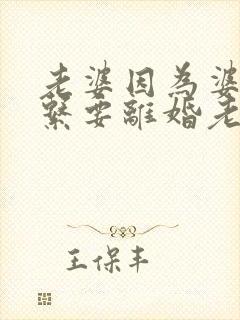 老婆因为婆媳关系要离婚老公怎么办