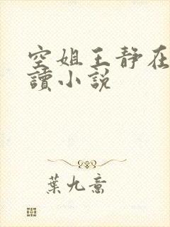 空姐王静在线阅读小说