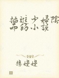 插进少妇阴道里面的小说