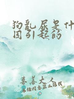 狗乱尿是什么原因引起的