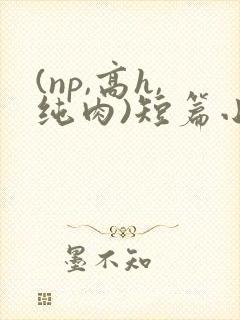 (np,高h,纯肉)短篇小说