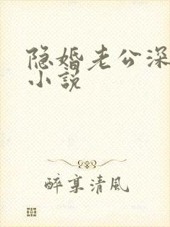 隐婚老公深夜来小说