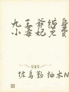 九王爷缠身纨绔小毒妃免费阅读