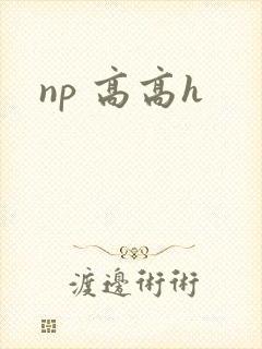 np 高高h