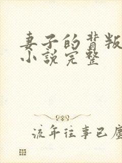 妻子的背叛犽一小说完整