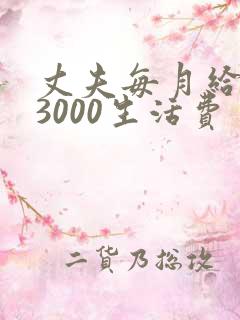 丈夫每月给妻子3000生活费