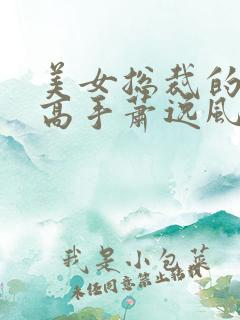 美女总裁的最强高手萧逸风叶雅馨