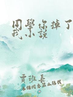 同学你掉了一个我小说