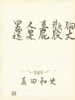 男人喜欢胸大的还是屁股大的