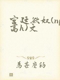 宫廷欲奴(np高h)文