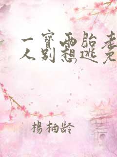 一宝两胎老婆大人别想逃免费阅读