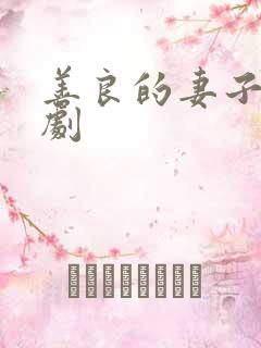 善良的妻子 韩剧