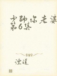 少帅你老婆又跑第6集