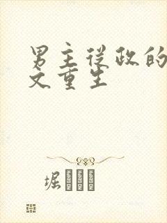 男主从政的高干文重生