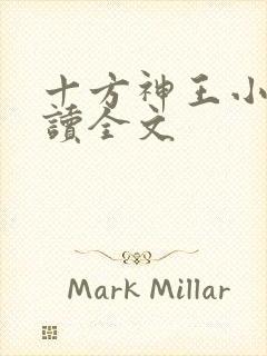 十方神王小说阅读全文