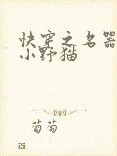 快穿之名器尤物小野猫