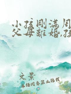 小孩刚满周岁,父母离婚,孩子归谁