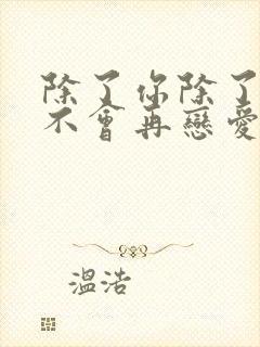 除了你除了你我不会再恋爱是什么歌