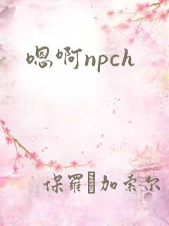 嗯啊npch
