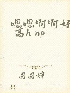嗯嗯啊啊好爽啊 高h np