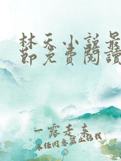 林天小说最新章节免费阅读全文