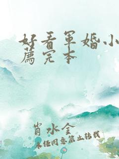 好看军婚小说推荐完本