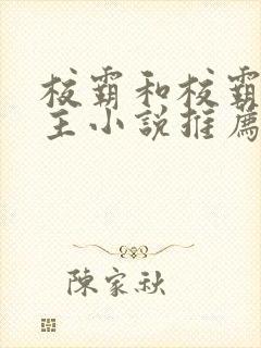 校霸和校霸双男主小说推荐