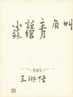 小说主角叫林凡苏绾月