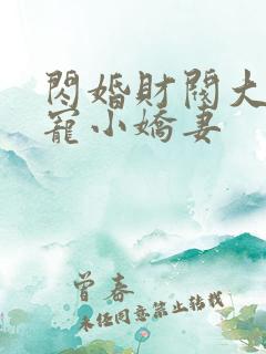 闪婚财阀大叔强宠小娇妻