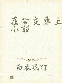 在公交车上被摸小说