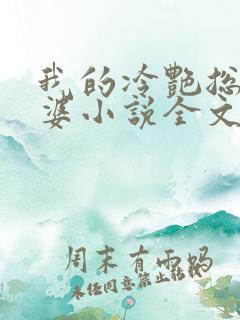 我的冷艳总裁老婆小说全文阅读