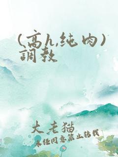 (高h,纯肉)调教