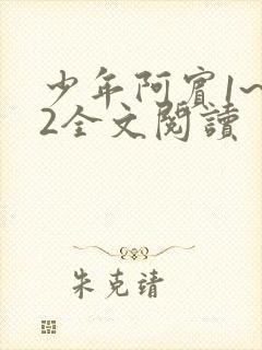 少年阿宾1~72全文阅读