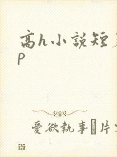 高h小说短篇np