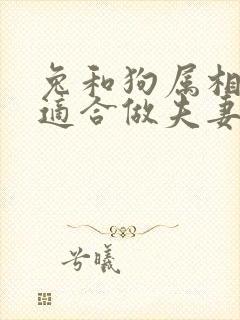 兔和狗属相合吗适合做夫妻吗