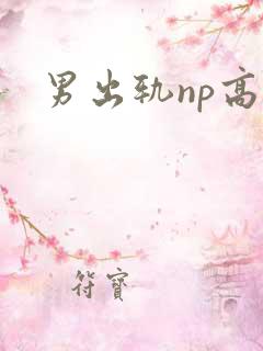 男出轨np高h