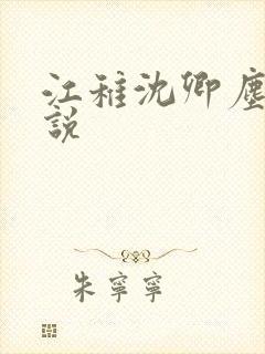 江稚沈卿尘的小说