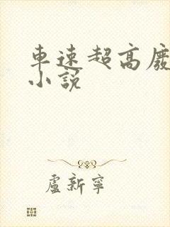 车速超高废文的小说