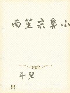 南笙宋枭小说