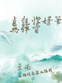 贞观悍婿笔趣阁无弹窗