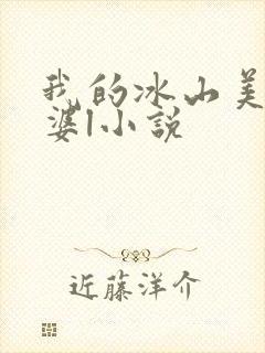 我的冰山美女老婆l小说