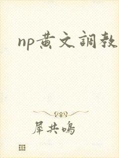 np黄文调教