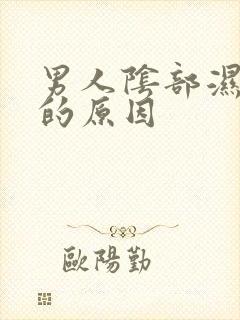 男人阴部湿气重的原因